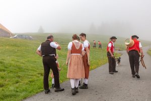 Alp, Alpen, Alpfahrt, Alps, Appenzell, Appenzell Ausserrohden, Appenzellerland, Brauchtum und Anlässe, Kühe, Landschaft und Natur, Orte, Ostschweiz, Schweiz, Sennen, Suisse, Switzerland, Tier, Tracht