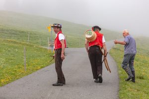 Alp, Alpen, Alpfahrt, Alps, Appenzell, Appenzell Ausserrohden, Appenzellerland, Brauchtum und Anlässe, Kühe, Landschaft und Natur, Orte, Ostschweiz, Schweiz, Sennen, Suisse, Switzerland, Tier, Tracht