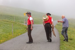 Alp, Alpen, Alpfahrt, Alps, Appenzell, Appenzell Ausserrohden, Appenzellerland, Brauchtum und Anlässe, Kühe, Landschaft und Natur, Orte, Ostschweiz, Schweiz, Sennen, Suisse, Switzerland, Tier, Tracht