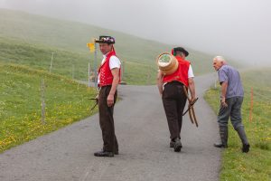Alp, Alpen, Alpfahrt, Alps, Appenzell, Appenzell Ausserrohden, Appenzellerland, Brauchtum und Anlässe, Kühe, Landschaft und Natur, Orte, Ostschweiz, Schweiz, Sennen, Suisse, Switzerland, Tier, Tracht