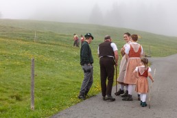 Alp, Alpen, Alpfahrt, Alps, Appenzell, Appenzell Ausserrohden, Appenzellerland, Brauchtum und Anlässe, Kühe, Landschaft und Natur, Orte, Ostschweiz, Schweiz, Sennen, Suisse, Switzerland, Tier, Tracht