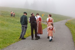 Alp, Alpen, Alpfahrt, Alps, Appenzell, Appenzell Ausserrohden, Appenzellerland, Brauchtum und Anlässe, Kühe, Landschaft und Natur, Orte, Ostschweiz, Schweiz, Sennen, Suisse, Switzerland, Tier, Tracht