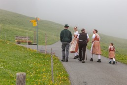 Alp, Alpen, Alpfahrt, Alps, Appenzell, Appenzell Ausserrohden, Appenzellerland, Brauchtum und Anlässe, Kühe, Landschaft und Natur, Orte, Ostschweiz, Schweiz, Sennen, Suisse, Switzerland, Tier, Tracht