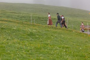 Alp, Alpen, Alpfahrt, Alps, Appenzell, Appenzell Ausserrohden, Appenzellerland, Brauchtum und Anlässe, Kühe, Landschaft und Natur, Orte, Ostschweiz, Schweiz, Sennen, Suisse, Switzerland, Tier, Tracht