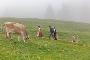 Alp, Alpen, Alpfahrt, Alps, Appenzell, Appenzell Ausserrohden, Appenzellerland, Brauchtum und Anlässe, Kühe, Landschaft und Natur, Orte, Ostschweiz, Schweiz, Sennen, Suisse, Switzerland, Tier, Tracht