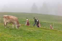 Alp, Alpen, Alpfahrt, Alps, Appenzell, Appenzell Ausserrohden, Appenzellerland, Brauchtum und Anlässe, Kühe, Landschaft und Natur, Orte, Ostschweiz, Schweiz, Sennen, Suisse, Switzerland, Tier, Tracht