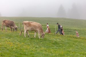 Alp, Alpen, Alpfahrt, Alps, Appenzell, Appenzell Ausserrohden, Appenzellerland, Brauchtum und Anlässe, Kühe, Landschaft und Natur, Orte, Ostschweiz, Schweiz, Sennen, Suisse, Switzerland, Tier, Tracht