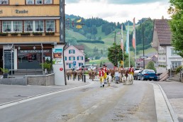 Alpaufzug, Alpfahrt, Appenzell, Appenzell Ausserrohden, Appenzellerland, Brauchtum und Anlässe, Kühe, Landschaft und Natur, Orte, Ostschweiz, Schweiz, Sennen, Suisse, Switzerland, Tier, Tracht, tradition