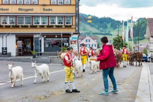 Alpaufzug, Alpfahrt, Appenzell, Appenzell Ausserrohden, Appenzellerland, Brauchtum und Anlässe, Kühe, Landschaft und Natur, Orte, Ostschweiz, Schweiz, Sennen, Suisse, Switzerland, Tier, Tracht, tradition