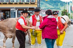 Alpaufzug, Alpfahrt, Appenzell, Appenzell Ausserrohden, Appenzellerland, Brauchtum und Anlässe, Kühe, Landschaft und Natur, Orte, Ostschweiz, Schweiz, Sennen, Suisse, Switzerland, Tier, Tracht, tradition