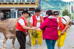 Alpaufzug, Alpfahrt, Appenzell, Appenzell Ausserrohden, Appenzellerland, Brauchtum und Anlässe, Kühe, Landschaft und Natur, Orte, Ostschweiz, Schweiz, Sennen, Suisse, Switzerland, Tier, Tracht, tradition