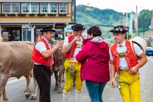 Alpaufzug, Alpfahrt, Appenzell, Appenzell Ausserrohden, Appenzellerland, Brauchtum und Anlässe, Kühe, Landschaft und Natur, Orte, Ostschweiz, Schweiz, Sennen, Suisse, Switzerland, Tier, Tracht, tradition