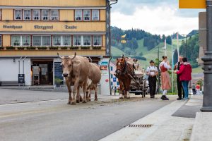 Alpaufzug, Alpfahrt, Appenzell, Appenzell Ausserrohden, Appenzellerland, Brauchtum und Anlässe, Kühe, Landschaft und Natur, Orte, Ostschweiz, Schweiz, Sennen, Suisse, Switzerland, Tier, Tracht, tradition