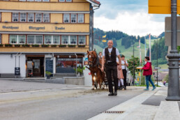 Alpaufzug, Alpfahrt, Appenzell, Appenzell Ausserrohden, Appenzellerland, Brauchtum und Anlässe, Kühe, Landschaft und Natur, Orte, Ostschweiz, Schweiz, Sennen, Suisse, Switzerland, Tier, Tracht, tradition