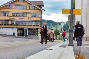 Alpaufzug, Alpfahrt, Appenzell, Appenzell Ausserrohden, Appenzellerland, Brauchtum und Anlässe, Kühe, Landschaft und Natur, Orte, Ostschweiz, Schweiz, Sennen, Suisse, Switzerland, Tier, Tracht, tradition