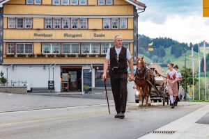 Alpaufzug, Alpfahrt, Appenzell, Appenzell Ausserrohden, Appenzellerland, Brauchtum und Anlässe, Kühe, Landschaft und Natur, Orte, Ostschweiz, Schweiz, Sennen, Suisse, Switzerland, Tier, Tracht, tradition