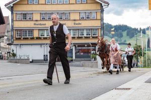 Alpaufzug, Alpfahrt, Appenzell, Appenzell Ausserrohden, Appenzellerland, Brauchtum und Anlässe, Kühe, Landschaft und Natur, Orte, Ostschweiz, Schweiz, Sennen, Suisse, Switzerland, Tier, Tracht, tradition