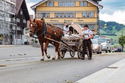 Alpaufzug, Alpfahrt, Appenzell, Appenzell Ausserrohden, Appenzellerland, Brauchtum und Anlässe, Kühe, Landschaft und Natur, Orte, Ostschweiz, Schweiz, Sennen, Suisse, Switzerland, Tier, Tracht, tradition