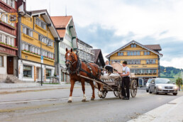 Alpaufzug, Alpfahrt, Appenzell, Appenzell Ausserrohden, Appenzellerland, Brauchtum und Anlässe, Kühe, Landschaft und Natur, Orte, Ostschweiz, Schweiz, Sennen, Suisse, Switzerland, Tier, Tracht, tradition