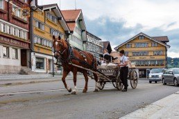 Alpaufzug, Alpfahrt, Appenzell, Appenzell Ausserrohden, Appenzellerland, Brauchtum und Anlässe, Kühe, Landschaft und Natur, Orte, Ostschweiz, Schweiz, Sennen, Suisse, Switzerland, Tier, Tracht, tradition