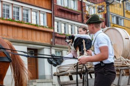 Alpaufzug, Alpfahrt, Appenzell, Appenzell Ausserrohden, Appenzellerland, Brauchtum und Anlässe, Kühe, Landschaft und Natur, Orte, Ostschweiz, Schweiz, Sennen, Suisse, Switzerland, Tier, Tracht, tradition