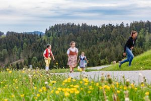 Alpaufzug, Alpfahrt, Appenzell, Appenzell Ausserrohden, Appenzellerland, Brauchtum und Anlässe, Kühe, Landschaft und Natur, Orte, Ostschweiz, Schweiz, Sennen, Suisse, Switzerland, Tier, Tracht, tradition