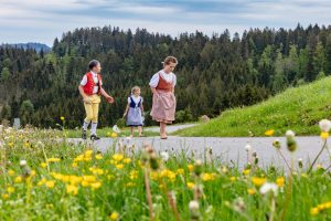 Alpaufzug, Alpfahrt, Appenzell, Appenzell Ausserrohden, Appenzellerland, Brauchtum und Anlässe, Kühe, Landschaft und Natur, Orte, Ostschweiz, Schweiz, Sennen, Suisse, Switzerland, Tier, Tracht, tradition