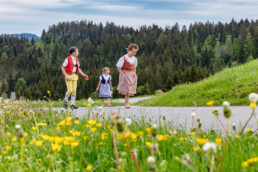 Alpaufzug, Alpfahrt, Appenzell, Appenzell Ausserrohden, Appenzellerland, Brauchtum und Anlässe, Kühe, Landschaft und Natur, Orte, Ostschweiz, Schweiz, Sennen, Suisse, Switzerland, Tier, Tracht, tradition