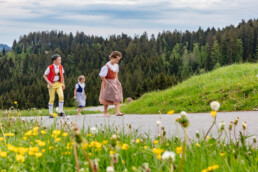 Alpaufzug, Alpfahrt, Appenzell, Appenzell Ausserrohden, Appenzellerland, Brauchtum und Anlässe, Kühe, Landschaft und Natur, Orte, Ostschweiz, Schweiz, Sennen, Suisse, Switzerland, Tier, Tracht, tradition