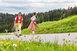 Alpaufzug, Alpfahrt, Appenzell, Appenzell Ausserrohden, Appenzellerland, Brauchtum und Anlässe, Kühe, Landschaft und Natur, Orte, Ostschweiz, Schweiz, Sennen, Suisse, Switzerland, Tier, Tracht, tradition