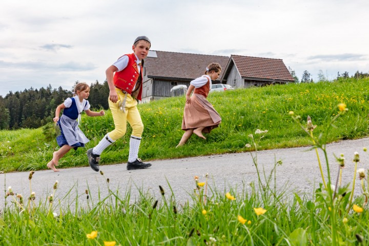 Alpaufzug, Alpfahrt, Appenzell, Appenzell Ausserrohden, Appenzellerland, Brauchtum und Anlässe, Kühe, Landschaft und Natur, Orte, Ostschweiz, Schweiz, Sennen, Suisse, Switzerland, Tier, Tracht, tradition