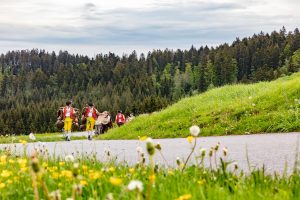 Alpaufzug, Alpfahrt, Appenzell, Appenzell Ausserrohden, Appenzellerland, Brauchtum und Anlässe, Kühe, Landschaft und Natur, Orte, Ostschweiz, Schweiz, Sennen, Suisse, Switzerland, Tier, Tracht, tradition