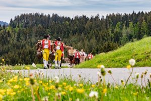 Alpaufzug, Alpfahrt, Appenzell, Appenzell Ausserrohden, Appenzellerland, Brauchtum und Anlässe, Kühe, Landschaft und Natur, Orte, Ostschweiz, Schweiz, Sennen, Suisse, Switzerland, Tier, Tracht, tradition