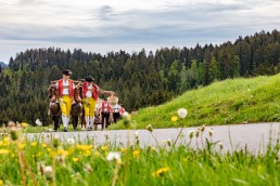 Alpaufzug, Alpfahrt, Appenzell, Appenzell Ausserrohden, Appenzellerland, Brauchtum und Anlässe, Kühe, Landschaft und Natur, Orte, Ostschweiz, Schweiz, Sennen, Suisse, Switzerland, Tier, Tracht, tradition
