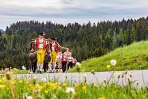 Alpaufzug, Alpfahrt, Appenzell, Appenzell Ausserrohden, Appenzellerland, Brauchtum und Anlässe, Kühe, Landschaft und Natur, Orte, Ostschweiz, Schweiz, Sennen, Suisse, Switzerland, Tier, Tracht, tradition