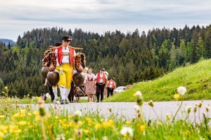 Alpaufzug, Alpfahrt, Appenzell, Appenzell Ausserrohden, Appenzellerland, Brauchtum und Anlässe, Kühe, Landschaft und Natur, Orte, Ostschweiz, Schweiz, Sennen, Suisse, Switzerland, Tier, Tracht, tradition