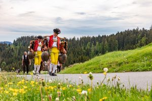 Alpaufzug, Alpfahrt, Appenzell, Appenzell Ausserrohden, Appenzellerland, Brauchtum und Anlässe, Kühe, Landschaft und Natur, Orte, Ostschweiz, Schweiz, Sennen, Suisse, Switzerland, Tier, Tracht, tradition