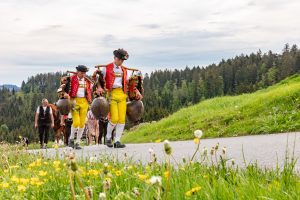 Alpaufzug, Alpfahrt, Appenzell, Appenzell Ausserrohden, Appenzellerland, Brauchtum und Anlässe, Kühe, Landschaft und Natur, Orte, Ostschweiz, Schweiz, Sennen, Suisse, Switzerland, Tier, Tracht, tradition