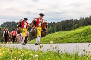 Alpaufzug, Alpfahrt, Appenzell, Appenzell Ausserrohden, Appenzellerland, Brauchtum und Anlässe, Kühe, Landschaft und Natur, Orte, Ostschweiz, Schweiz, Sennen, Suisse, Switzerland, Tier, Tracht, tradition