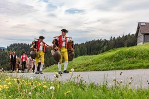 Alpaufzug, Alpfahrt, Appenzell, Appenzell Ausserrohden, Appenzellerland, Brauchtum und Anlässe, Kühe, Landschaft und Natur, Orte, Ostschweiz, Schweiz, Sennen, Suisse, Switzerland, Tier, Tracht, tradition