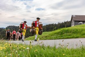 Alpaufzug, Alpfahrt, Appenzell, Appenzell Ausserrohden, Appenzellerland, Brauchtum und Anlässe, Kühe, Landschaft und Natur, Orte, Ostschweiz, Schweiz, Sennen, Suisse, Switzerland, Tier, Tracht, tradition