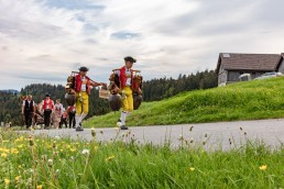 Alpaufzug, Alpfahrt, Appenzell, Appenzell Ausserrohden, Appenzellerland, Brauchtum und Anlässe, Kühe, Landschaft und Natur, Orte, Ostschweiz, Schweiz, Sennen, Suisse, Switzerland, Tier, Tracht, tradition