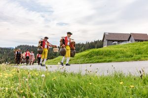 Alpaufzug, Alpfahrt, Appenzell, Appenzell Ausserrohden, Appenzellerland, Brauchtum und Anlässe, Kühe, Landschaft und Natur, Orte, Ostschweiz, Schweiz, Sennen, Suisse, Switzerland, Tier, Tracht, tradition