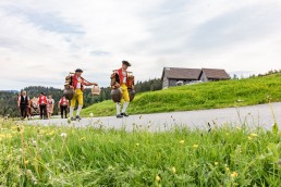 Alpaufzug, Alpfahrt, Appenzell, Appenzell Ausserrohden, Appenzellerland, Brauchtum und Anlässe, Kühe, Landschaft und Natur, Orte, Ostschweiz, Schweiz, Sennen, Suisse, Switzerland, Tier, Tracht, tradition