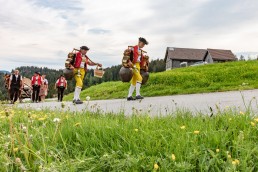 Alpaufzug, Alpfahrt, Appenzell, Appenzell Ausserrohden, Appenzellerland, Brauchtum und Anlässe, Kühe, Landschaft und Natur, Orte, Ostschweiz, Schweiz, Sennen, Suisse, Switzerland, Tier, Tracht, tradition
