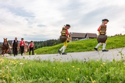Alpaufzug, Alpfahrt, Appenzell, Appenzell Ausserrohden, Appenzellerland, Brauchtum und Anlässe, Kühe, Landschaft und Natur, Orte, Ostschweiz, Schweiz, Sennen, Suisse, Switzerland, Tier, Tracht, tradition