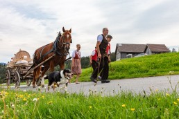 Alpaufzug, Alpfahrt, Appenzell, Appenzell Ausserrohden, Appenzellerland, Brauchtum und Anlässe, Kühe, Landschaft und Natur, Orte, Ostschweiz, Schweiz, Sennen, Suisse, Switzerland, Tier, Tracht, tradition