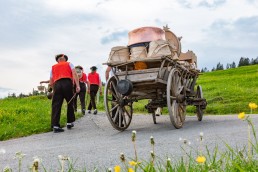 Alpaufzug, Alpfahrt, Appenzell, Appenzell Ausserrohden, Appenzellerland, Brauchtum und Anlässe, Kühe, Landschaft und Natur, Orte, Ostschweiz, Schweiz, Sennen, Suisse, Switzerland, Tier, Tracht, tradition