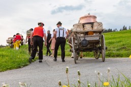 Alpaufzug, Alpfahrt, Appenzell, Appenzell Ausserrohden, Appenzellerland, Brauchtum und Anlässe, Kühe, Landschaft und Natur, Orte, Ostschweiz, Schweiz, Sennen, Suisse, Switzerland, Tier, Tracht, tradition