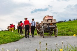 Alpaufzug, Alpfahrt, Appenzell, Appenzell Ausserrohden, Appenzellerland, Brauchtum und Anlässe, Kühe, Landschaft und Natur, Orte, Ostschweiz, Schweiz, Sennen, Suisse, Switzerland, Tier, Tracht, tradition